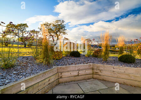 Herbstfarben im herrlichen, privaten Garten, Yorkshire, England, UK-elegantes, modernes Design, Landschaftsgestaltung und Bepflanzung von Schnittholz angehobenen Betten. Stockfoto