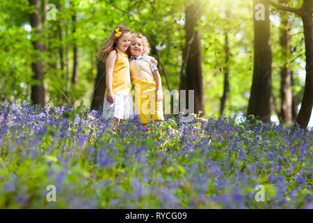 Kinder laufen in Bluebell Woods. Kinder spielen im Frühjahr park mit Wild Bluebell Blumen. Jungen und Mädchen im Garten arbeiten. Garten Pflanzen an einem sonnigen Tag. Freunde f Stockfoto