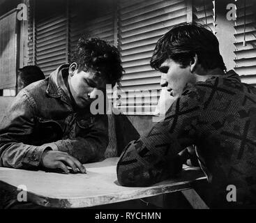 TIMOTHY BOTTOMS, Jeff Bridges, das letzte Bild zeigen, 1971 Stockfoto