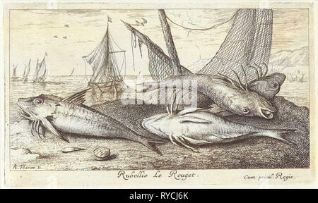 Vier Fische am Strand, Albert Flamen, 1664 Stockfoto