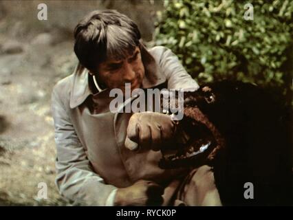 GREGORY PECK, Hund, das Omen, 1976 Stockfoto