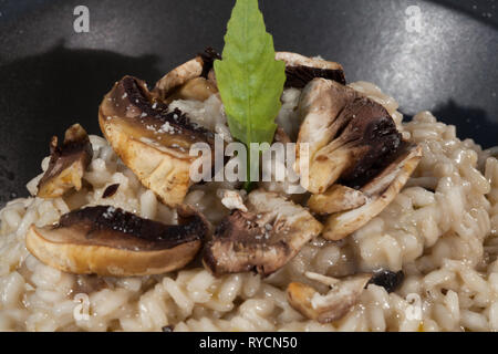 Reis mit Pilzen weiße Sauce und Petersilie Dekoration in schwarzem Ton Schüssel gekocht serviert. Stockfoto