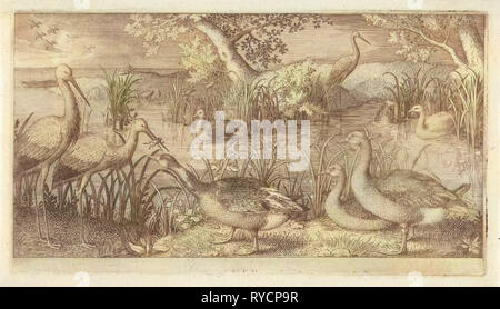 Wasservögel in einem Teich, van Jan Londerseel, 1580-1625 Stockfoto