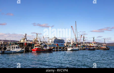 Kreuzfahrtschiff, Schlepper und Fischtrawler machen für eine belebte Szene im Eden Hafen in zwei Falten Bay an der Südküste von New South Wales Stockfoto