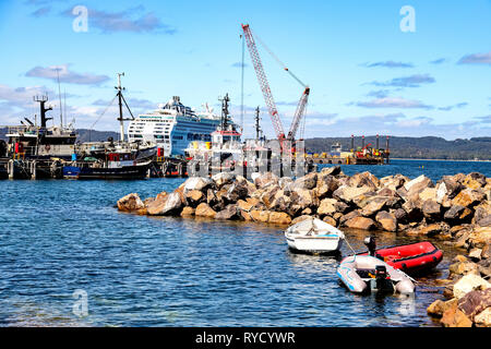 Kreuzfahrt shup angedockt unter Fischerboote im Eden Hafen auf zwei Falten Bucht an der Südküste von New South Wales Stockfoto