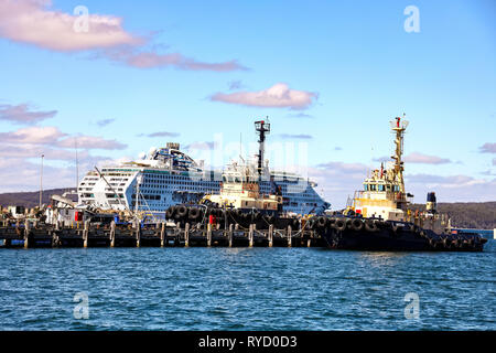 Zwei Schlepper von Kreuzfahrtschiff in den Schatten gestellt günstig in Eden Hafen auf zwei Falten Bay an der Südküste von New South Wales Stockfoto