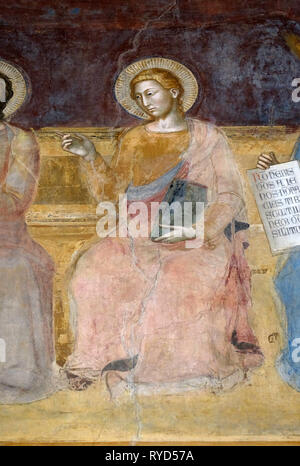 St. Lukas, Evangelist, Detail der Triumph des hl. Thomas von Aquin, Fresko von Andrea di Buonaiuto, dominikanische Kirche Santa Maria Novella in Florenz Stockfoto