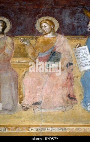 St. Lukas, Evangelist, Detail der Triumph des hl. Thomas von Aquin, Fresko von Andrea di Buonaiuto, dominikanische Kirche Santa Maria Novella in Florenz Stockfoto