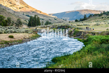 Ein Blick auf das kochende Fluss geothermischen Gebiet entlang der Gardner River im Yellowstone National Park, Montana, USA. Stockfoto