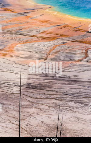 Eine Detailansicht der bakterielle Matten Grand Bildobjekte Springs im Yellowstone-Nationalpark, Wyoming, USA. Stockfoto