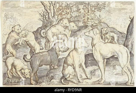 Neun Hunde, Nicolaes de Bruyn, 1594 Stockfoto