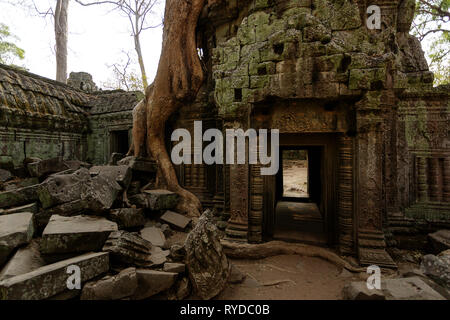 Familie Besuch alten Ta Prohm Tempel in Angkor Archäologische Stätten in Kambodscha Stockfoto