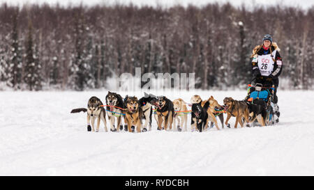 Musher Kristy Berington nach dem in Willow Der 47 Iditarod Trail Sled Dog Race in Southcentral Alaska neu. Stockfoto