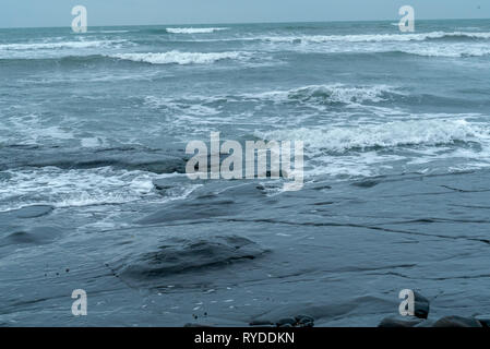 Versteinerte Baumstumpf ausgesetzt auf Maple Ledge Dolomit Betten bei Kimmeridge Bucht in Dorset UK Stockfoto