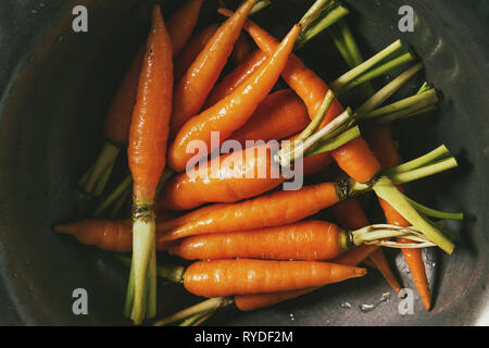 Junge mini Karotten in Vintage metall Schüssel über weißem Marmor Hintergrund. Flach, Platz. Kochen, essen Hintergrund. Stockfoto