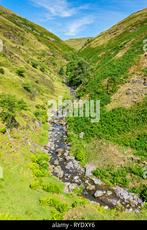 Der Oberlauf des Alva Glen in der Ochil Hills, Clackmannanshire, Schottland, Großbritannien Stockfoto