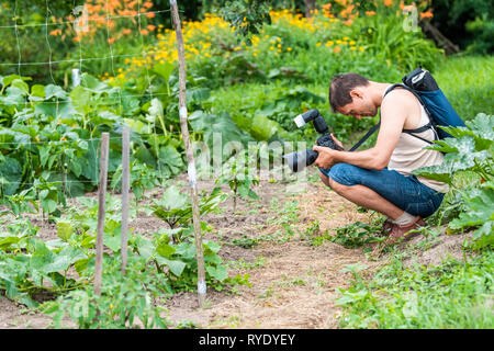 Junger Mann Fotograf im Garten unter Bild Foto von Pflanzen in grün sommer in der Ukraine Russland Datscha oder Bauernhof mit Gurke Gemüse Tomate orchard Stockfoto