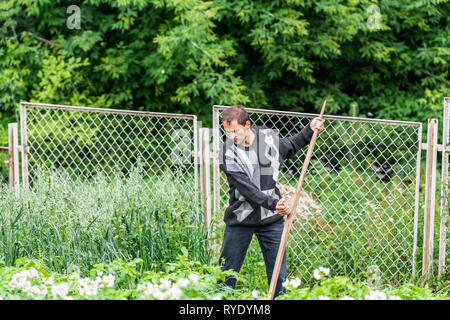 Mann Bauer im Garten schneiden Unkraut Hafer Gras mit Sichel sense Handwerkzeug in grün sommer in der Ukraine Datscha oder Bauernhof in Pullover von Kartoffel Pflanzen Stockfoto