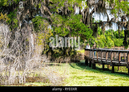 Gainesville, USA - 27. April 2018: Paynes Prairie Preserve State Park Wasserscheide Trail Wanderweg Boardwalk in Florida Sumpf mit Menschen zu Fuß Stockfoto