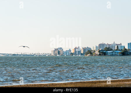 Sarasota, USA Strand in Florida City während der sonnigen Sonnenuntergang mit Pelikan Vogel in den Himmel und das Stadtbild von Bay fliegen mit Gebäuden Stockfoto