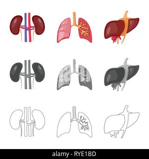 In der Niere, Lunge, Leber, Harn, Trachea, Verdauungstrakt, Bohnen, Pulmonalen, Körper, Transplantation, Arterie, Steine, Atemwege, System, Diagramm, gesund, Krankheit, Arterien, Hepatitis, Spende, Infektion, Prävention, Luftröhre, Biologie, Wissenschaft, Forschung, Labor, Anatomie, Orgel, innere, Medizin, Mensch, Gesundheit, Set, Vector, Icon, Illustration, isoliert, Sammlung, Design, Element, Grafik, Vektor, Vektoren, Stock Vektor