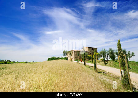 Italienische Landschaft, typisch toskanisches Bauernhaus zwischen Feldern und Zypressen Stockfoto