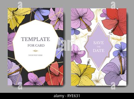 Vektor Hibiskus Blumen tropische Blumen. Graviert Tinte Art Hochzeit hintergrund Karte Blumen dekorativ Grenze. Stock Vektor