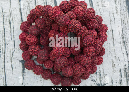 Ein rudraksha Mala ist der Samen des Eliocarpus ganitrus Baum benutzt als Gebet Perlen im Hinduismus vor allem shivaismus. Stockfoto