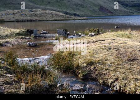 Quelle der Nant Y Llyn River Abfluss von Llyn y Ventilator Fawr Ventilator Brycheiniog Black Mountain Powys Brecon Beacons National Park Wales Cymru GROSSBRITANNIEN Stockfoto