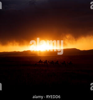Touristen auf Kamele sitzen und beobachten den Sonnenuntergang in der Wüste Sahara. Stockfoto