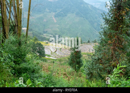 Hani Minderheitendorf, Yuanyang Grafschaft, in der Präfektur Honghe in der südöstlichen Provinz Yunnan, China, Stockfoto