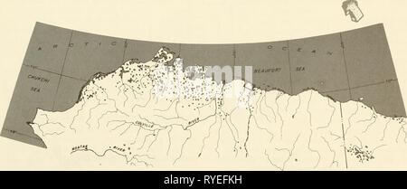 Ökologische Untersuchungen der Tundra biome in der Prudhoe Bay, Alaska ecologicalinvest 00 brow Jahr: 1975 Stockfoto