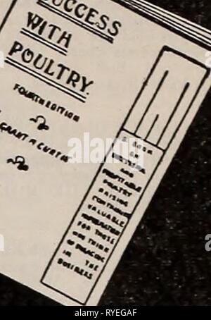 Die östliche poultryman easternpoultryma 511 unse Jahr: 1904 174 DIE ÖSTLICHEN POULTRYMAN. Stockfoto