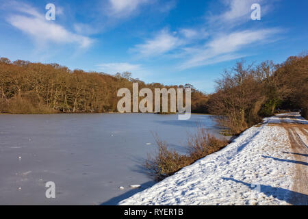 Gefrorene Eyeworth Teich ein beliebtes birdwatching Spot im Winter Schnee, New Forest in der Nähe von Fritham, Hampshire, Großbritannien Stockfoto