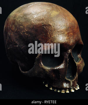 Vorgeschichte, Mensch/der prähistorische Mensch, Homo sapiens, cranium, Additional-Rights - Clearance-Info - Not-Available Stockfoto