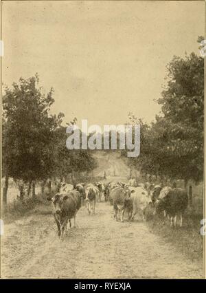 Elementare Landwirtschaft mit praktischen Arithmetik elementaryagricu 01 hatc Jahr: 1906 Stockfoto