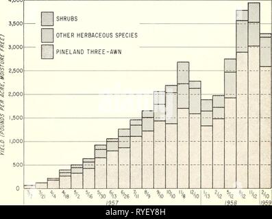 Wirkung von Brennen auf Südflorida Bereich effectofburningo 146 hilm Jahr: 1962 Brennen auf der Caloosa experimentellen Bereich für Kräuter Produktion Studie. 4000 Abbildung 1. -- Rendite von pineland Drei-awn, anderen krautigen Arten, und Sträucher auf Südflorida Bereich über einen Zeitraum von zwei Jahren nach einem Februar 14, 1957, Fire. Stockfoto
