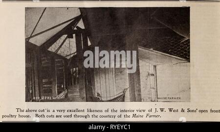 Die östliche poultryman easternpoultryma 68 unse Jahr: 1905 118 DER ÖSTLICHEN POULTRYMAN. Seine Hennen. Sein Haus sollte warm genug sein, damit kein Wasser in ihn einfrieren, und es sollte frei von Zugluft. Ihr Haus dicht zu bauen. Nicht über die Belüftung sorgen. Wo man Geflügel - Haus gebaut zu eng, die Hundert sind nicht fest genug gebaut. Wenn jetzt jeder Leser betrachtet, die versuchen, die Mauser Plan, wie ich sie beschrieben habe, würde ich ihm raten, il auf Teil seiner fiock zuerst ausprobieren und das Ei - Ertrag der Teil so mit dem Rest der Herde behandelt vergleichen, und ich denke, das wird ihn in einen Hno-konvertieren Stockfoto
