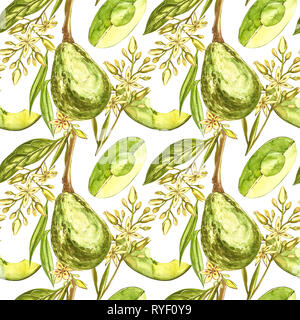 Avocado aquarell Hand zeichnen Abbildung auf weißem Hintergrund. Nahtlose Muster von Hand gezeichnet Avocado. Stockfoto