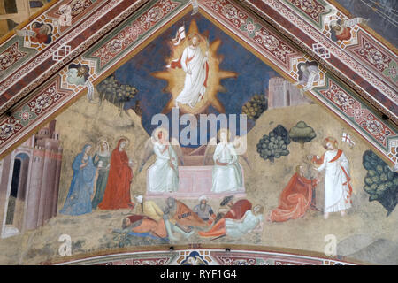 Die Auferweckung Christi, Fresko von Andrea Bonaiuto Di, Detail von Passion und Auferstehung Christi, der Kirche Santa Maria Novella in Florenz Stockfoto