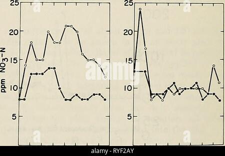 Effiziente Nutzung von Stickstoff auf Ernte land im Nordosten efficientuseofni 00 Rinde Jahr: 1980 Abbildung 17. Sechs-jährigen Durchschnitt von Nitrat-N Inhalt im Boden- Lösungen von Plots, die keine N. offene Kreise empfangen werden po-tatoes, geschlossene Kreise sind Buchweizen. (R.V. Rourke, Maine) Abbildung 16. Kum. N die Aufnahme von Dünger N (FN), Boden N (SN) ond Grasschnitt des laufenden Jahres (CNl) Ende der vorangegangenen zwei Jahre (CN2, CN3). Pfeile zeigen dotes der Anwendung von Düngemitteln. (Daten von j.l. Starr und H.C. DeRoo, Connecticut) 56 kg/ha war nicht erforderlich. Wie aus Tabelle 9 ersichtlich, N Ausbau in tu Stockfoto