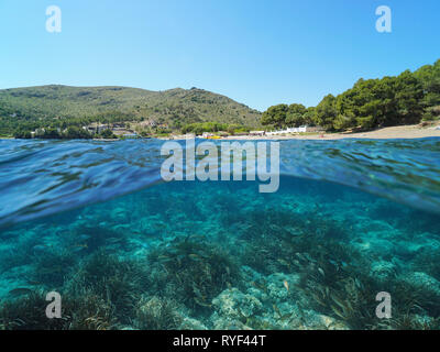 Spanien Costa Brava mit Fisch und Seegras Unterwasser, Mittelmeer, Cala Montjoi, Rosen, Katalonien, geteilte Ansicht Hälfte über und unter Wasser Stockfoto