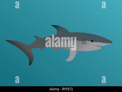 Eine Darstellung der großen weißen Hai Stock Vektor