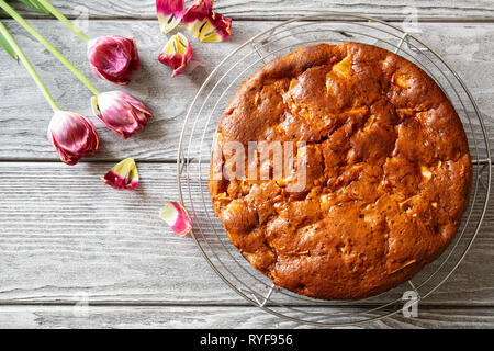 Frisch gebackene lecker riechenden Apfelkuchen Charlotte kühlt sich auf einem Gitter auf einer hölzernen Tisch. Vegan Apfelkuchen ohne Eier, ohne Butter, Ansicht von oben Stockfoto