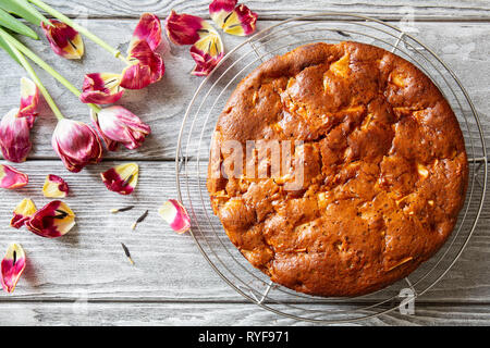 Frisch gebackene lecker riechenden Apfelkuchen Charlotte kühlt sich auf einem Gitter auf einer hölzernen Tisch. Vegan Apfelkuchen ohne Eier, ohne Butter, Ansicht von oben Stockfoto