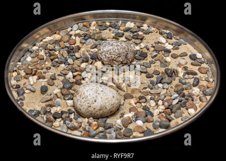 Zusammensetzung von Sand und Steine in verschiedenen Farben und Größen auf einem schwarzen Hintergrund. Selektiver Fokus auf die Mitte des Bildes. Stockfoto