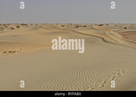 Verschieben von Sanddünen - nitre-sträucher - Takla Makan Desert. Hotan Präfektur-Xinjiang Uyghur Region-China-0008 Stockfoto