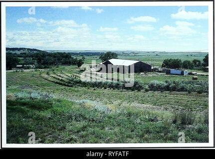 80 Jahre der Vegetation und Landschaft Veränderungen in den nördlichen Great Plains: Eine fotografische eightyyearsofveg 45 klem Jahr: 2001 Spearfish, South Dakota Lage Lawrence, CO, SD; Sec. 10, R.2 E., T.7 N.; GPS-UTM 4936725 N, 590582 E. etwa 6,4 km nördlich von Spearfish. Von Spearfish, Reisen nach Norden 6,4 Meilen auf US-Highway 85. Biegen Sie nach rechts (Osten) auf einem eigenen Weg. Die photopoint ist aus dem kleinen Hügel, auf der linken Seite (Norden), sofort nach dem Betreten des privaten Eigentums. Beschreibung September 21, 1999 Photopoint Gräser. Agropyron intermedium, Agropyron smithii, Agropyron cristatum, Stockfoto