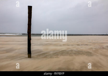 Ostfriesland, Wangerooge Insel, Strand bei Ebbe, Wellenbrecher, Buhnen, fliegenden Sand im Wind, Ostfriesland, Norddeutschland, Nordsee Coas Stockfoto