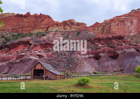 Historischen Scheune mit Pferden in den Capitol Reef National Park, Utah Stockfoto